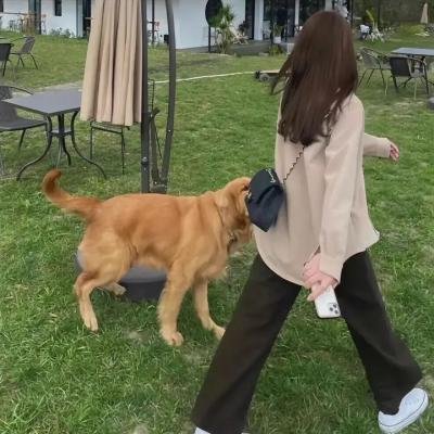 星门深渊 海报